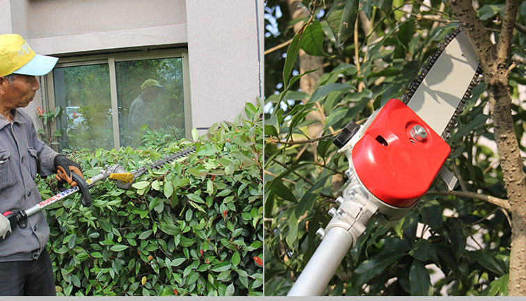 Quali sono le competenze di taglio degli attrezzi nella manutenzione del giardino?