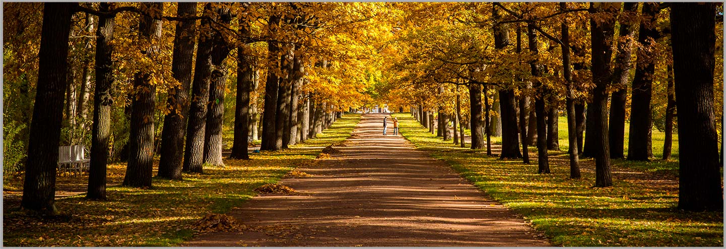 NINGBO AOSHENG MACCHINA CO., LTD.